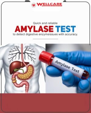 AMYLASE